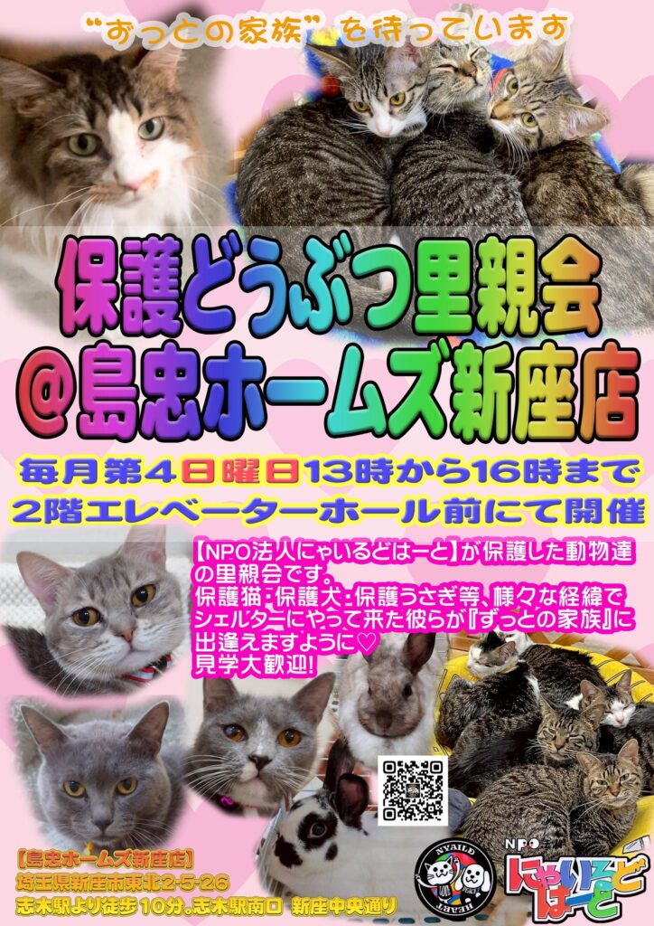 2026年4月26日(日) 保護猫・保護犬の譲渡会@島忠 新座店
