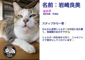 岩崎良美（いわさきよしみ）