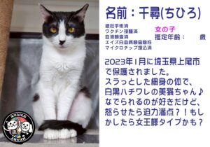 千尋（ちひろ）