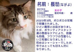 長世（ながよ）