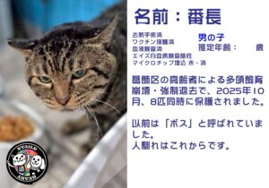 番長（ばんちょう）