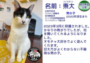 東大（とうだい）